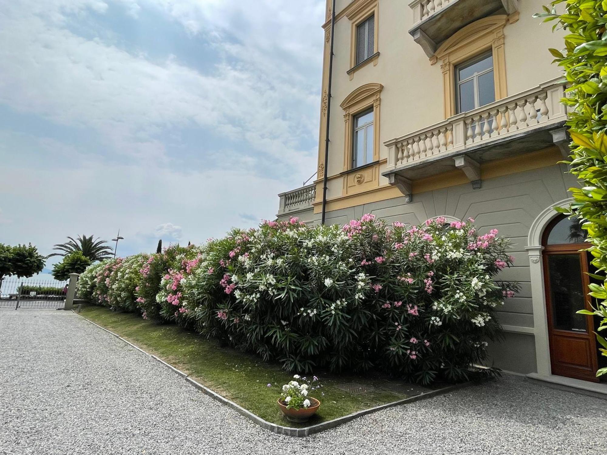 Residenza Victoria Apartment เมนาจโจ ภายนอก รูปภาพ